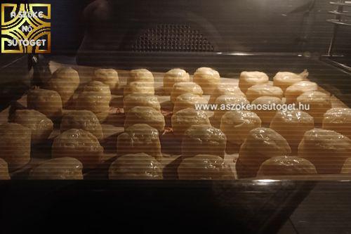 szépen elkezdtek növekedni